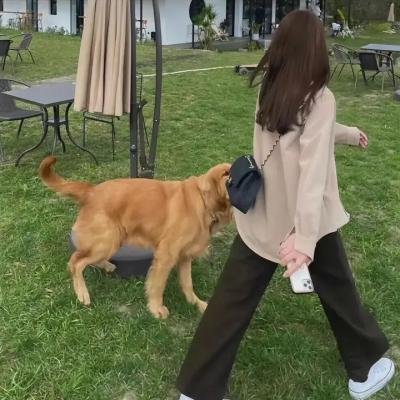 杰罗姆的时光